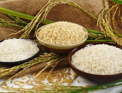 原生態有機大米是怎樣種植出來的？