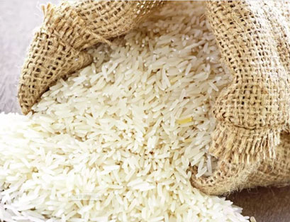 如何判斷大米的質量好壞